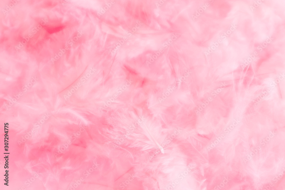 Beautiful abstract colorful orange white and pink feathers on white background and soft white purple feather texture on white pattern