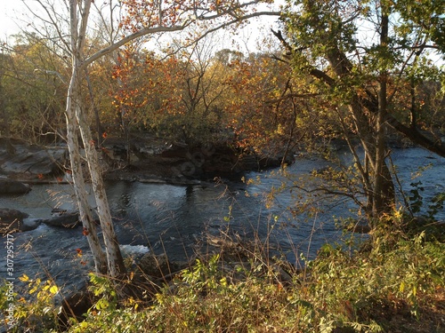 river in the forest with beautiful autumn trees