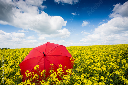 rape field with red umbrella