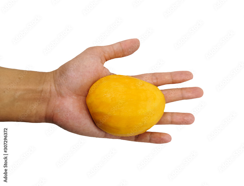 Peeled mango in the left palm isolated on white background. Yellow Fresh mango fruit in closeup Peeled mango in the left palm isolated on white background. Yellow Fresh mango fruit in closeup