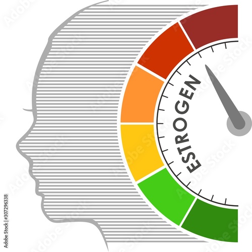 Hormone estrogen level measuring scale. Health care concept illustration. Head of woman silhouette.