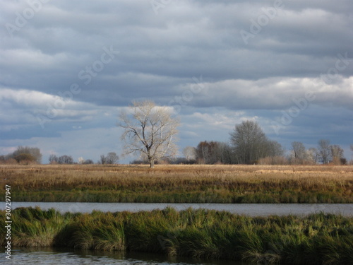 beautiful landscape with clouds above the water