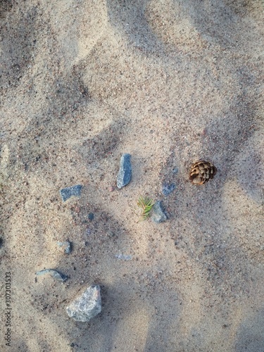On the beige beach sand there are small stones and a fir cone.