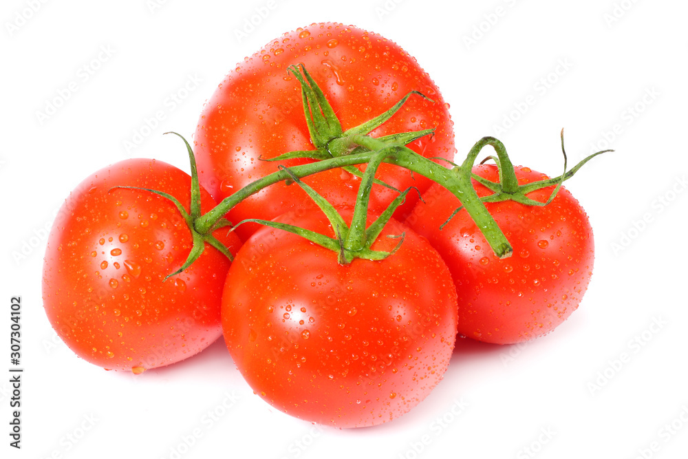 fresh tomatoes isolated on a white background fresh tomatoes isolated on a white background