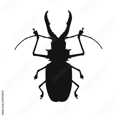 Silhouette of bug isolated on white background. Vector illustration