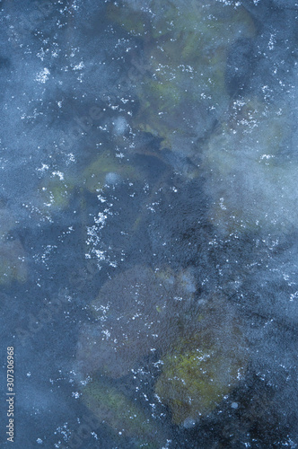 Texture of ice with frozen plants  winter background