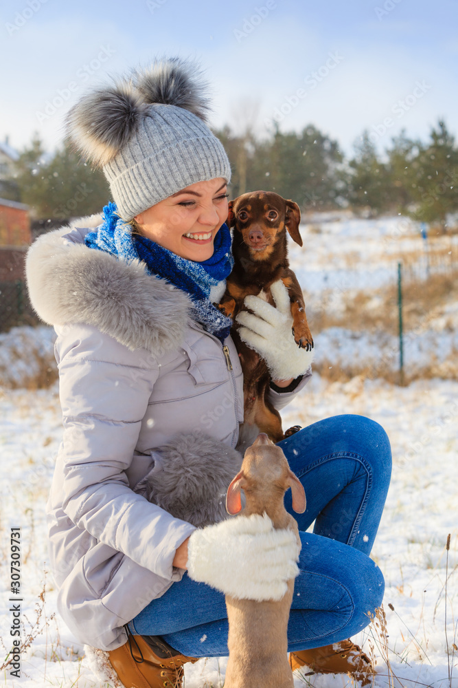 Woman playing with dogs during winter Woman playing with dogs during winter