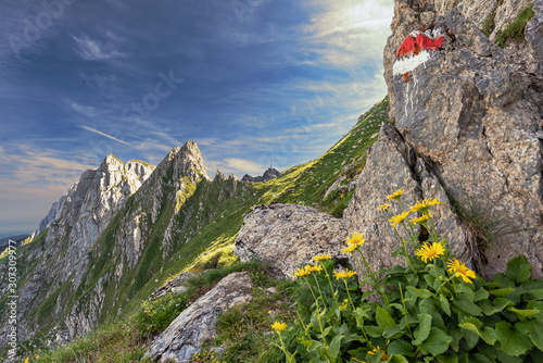 hiking in mountains