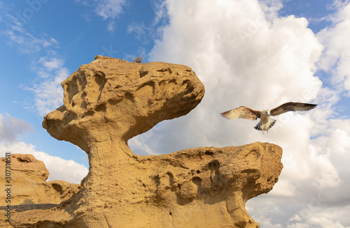 A seagull lands on a bawdy rock. The unique sandstone formation stands in Bolnuevo near the Spanish port city of Cartagena. Sunshine and cloudy sky.