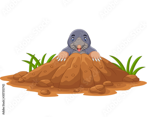 Cartoon mole come out of the hole