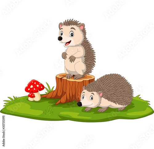 Cartoon two baby hedgehog on tree stump photo