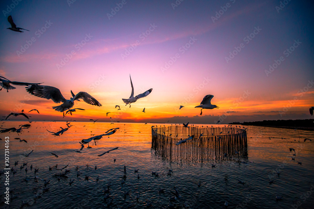 The blurred abstract background of the seagulls flying with the twilight light in the evening, and a multitude of birds on the branch while watching the evening.