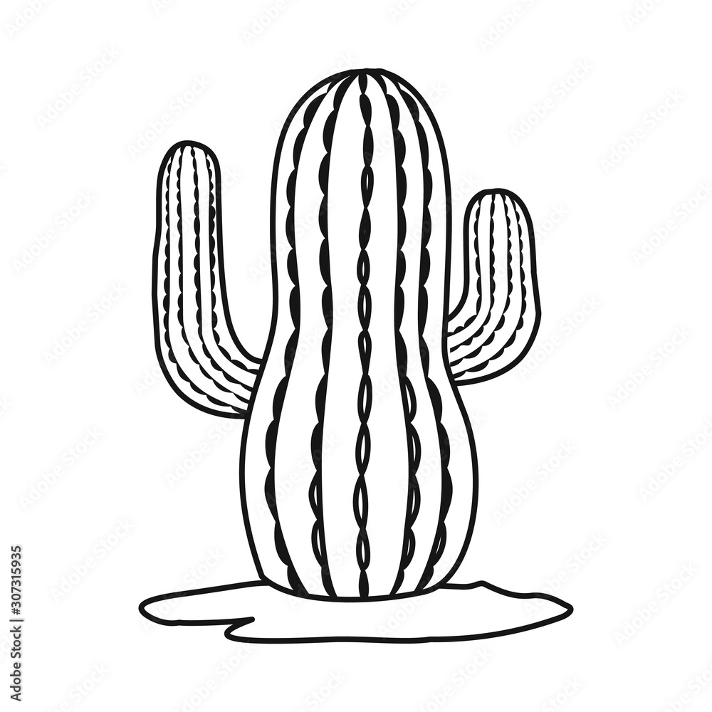 Vector illustration of cactus and south symbol. Web element of cactus and america stock vector illustration. Vector illustration of cactus and south symbol. Web element of cactus and america stock vector illustration.