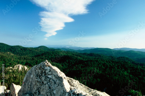 primary forest, wilderness, jungle, abies alba, altitude, bijele stijene, cloud, cold, common beech, croatia, dinaric, europe, european beech, european silver fir, forest, gorski kotar, green, hiking, photo