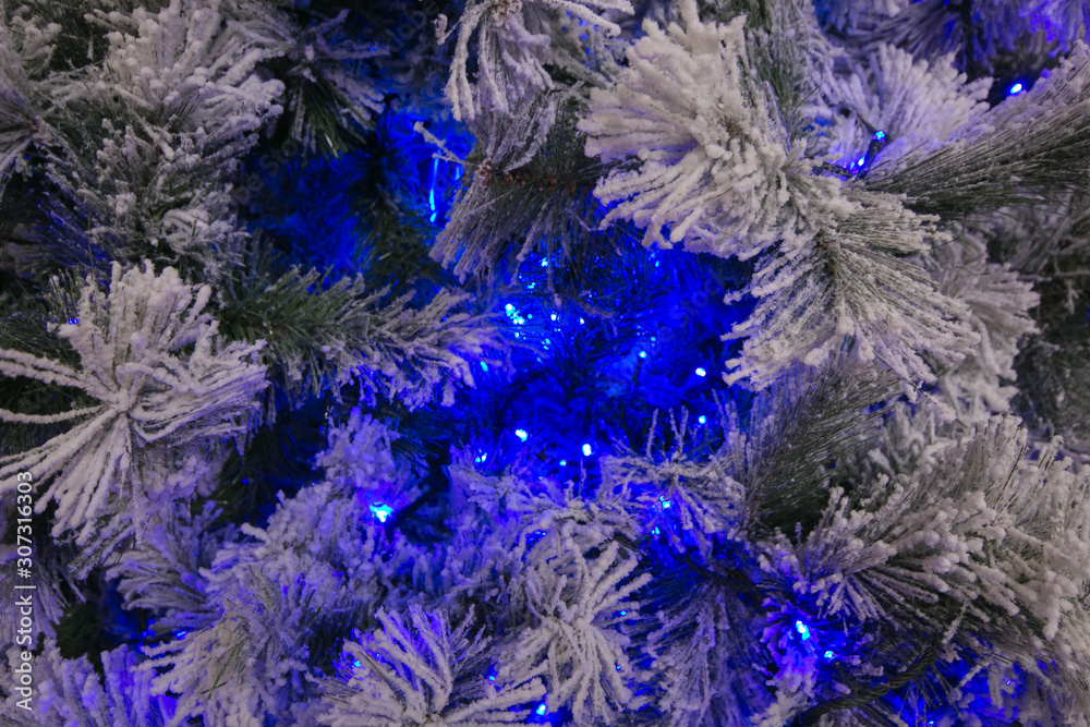 Detail of traditional christmas tree with blue lights