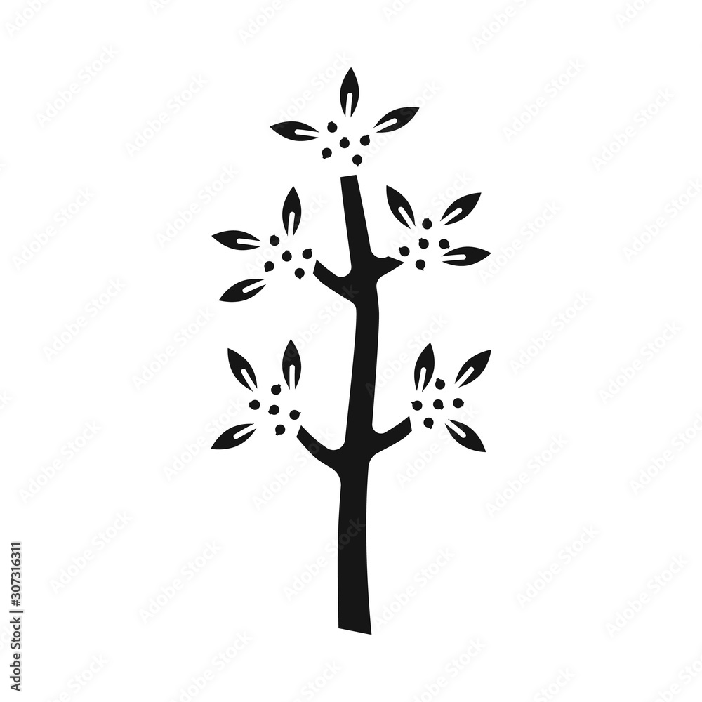 Vector design of tree and coffee icon. Set of tree and plant vector icon for stock. Vector design of tree and coffee icon. Set of tree and plant vector icon for stock.