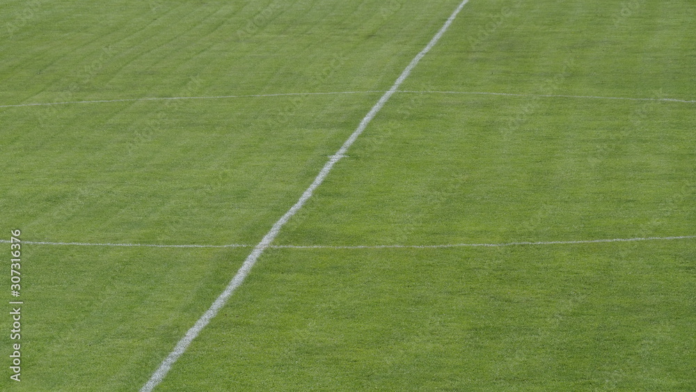 field with lines of grass