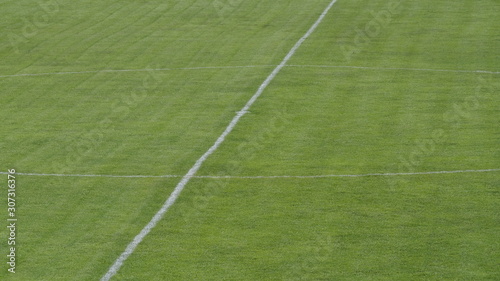 Fototapeta Naklejka Na Ścianę i Meble -  field with lines of grass