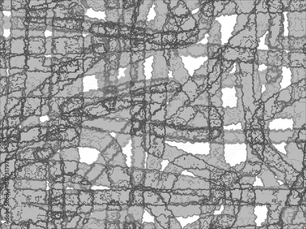 Fototapeta premium seamless pattern With black and white graphics