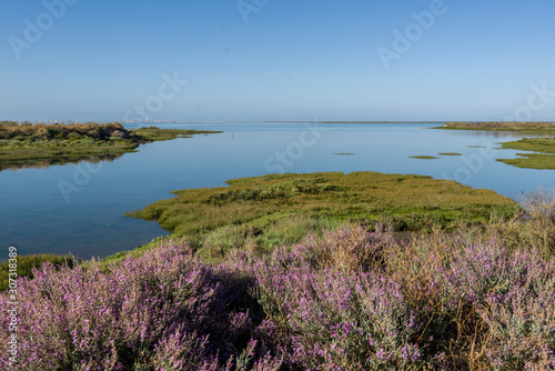 old salt marsh taken up by the sea in Olhao, Algarve, Portugal