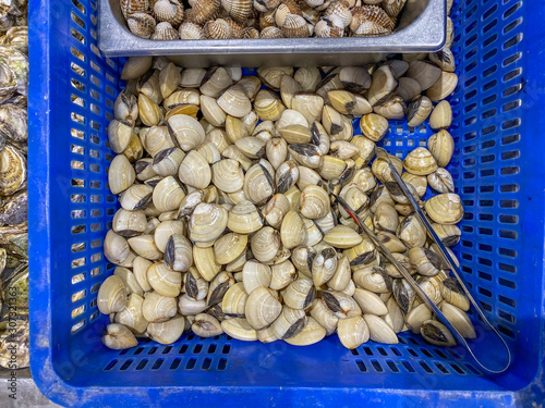 Uncooked clams in the basket for sale at seafood market