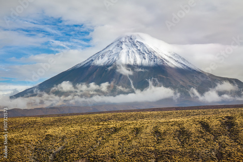 Atacama desert savanna, mountains and volcano landscape, Chile, South America