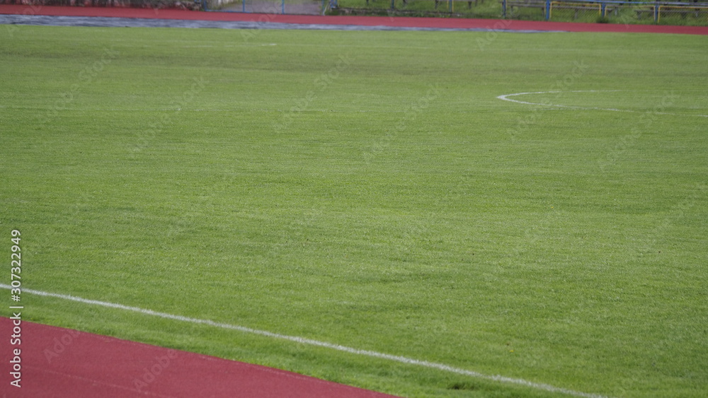 Fototapeta premium field with lines