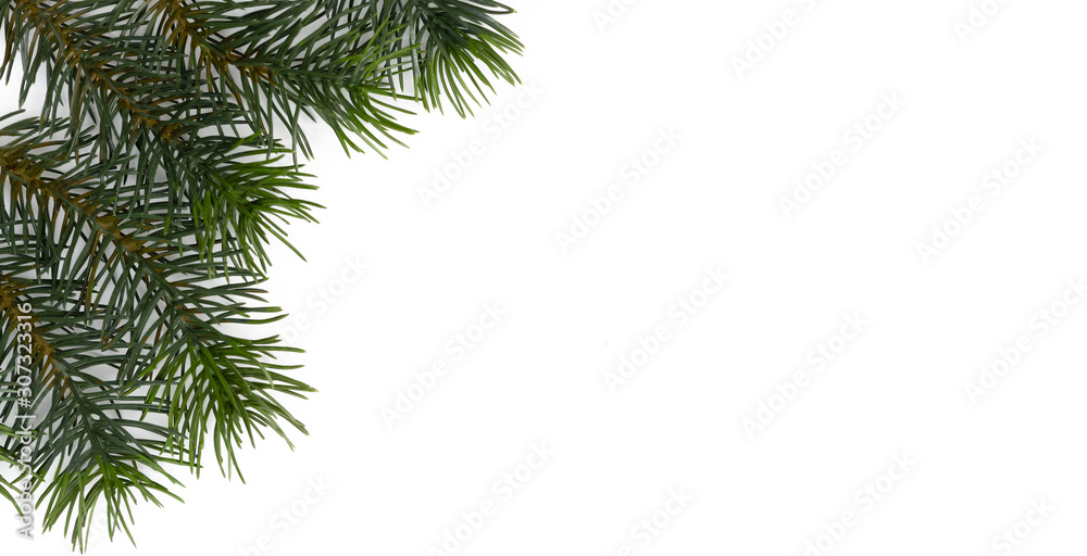 Christmas tree branches. The concept of the new year, christmas, nature. Banner. Flat lay, top view on white background