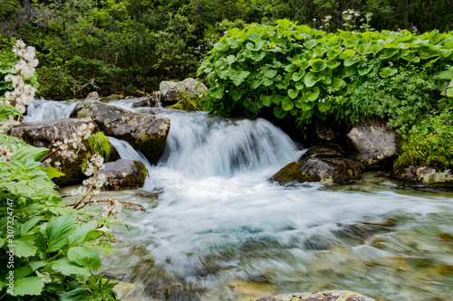 Stream in tatra mountains  poland