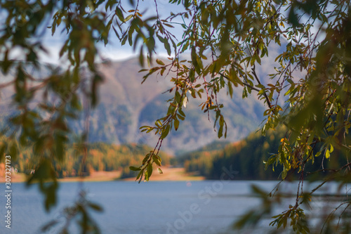 Autumn and nature on the shores of Lake Sankt Moritz, among the Swiss Alps - October 2019.