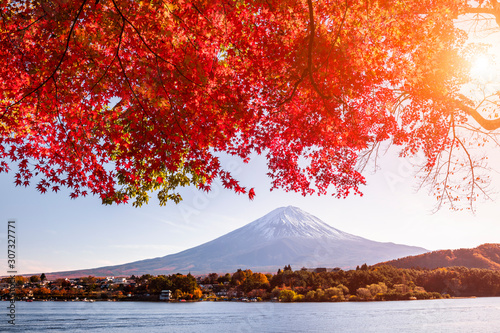 Mt. Fuji in autumn on sunrise at lake Kawaguchiko, Japan.