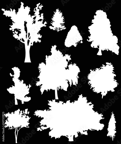 ten white isolated different trees silhouettes