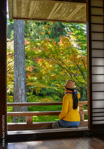 Colorful autumn leaves maple in garden photo