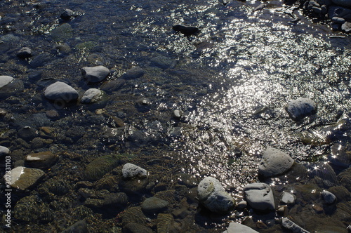 水面のきらめき