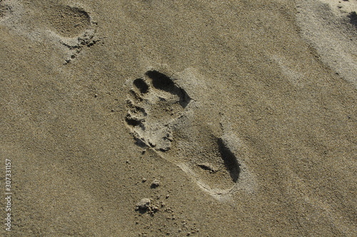 砂の上の足跡