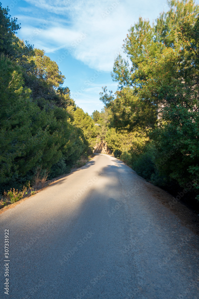 Obraz premium The green road of Oropesa del Mar