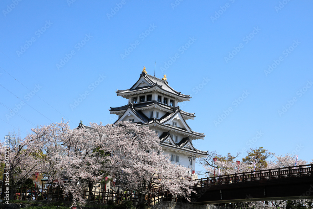 一夜城　墨俣城　満開の桜と墨俣城　春の墨俣城