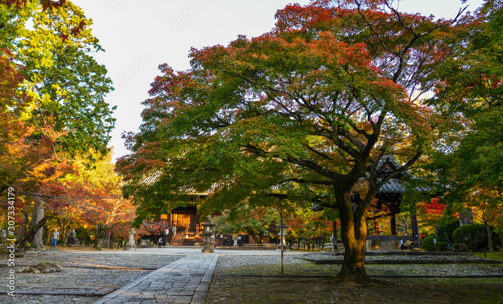 Autumn scenery in Kyoto, Japan