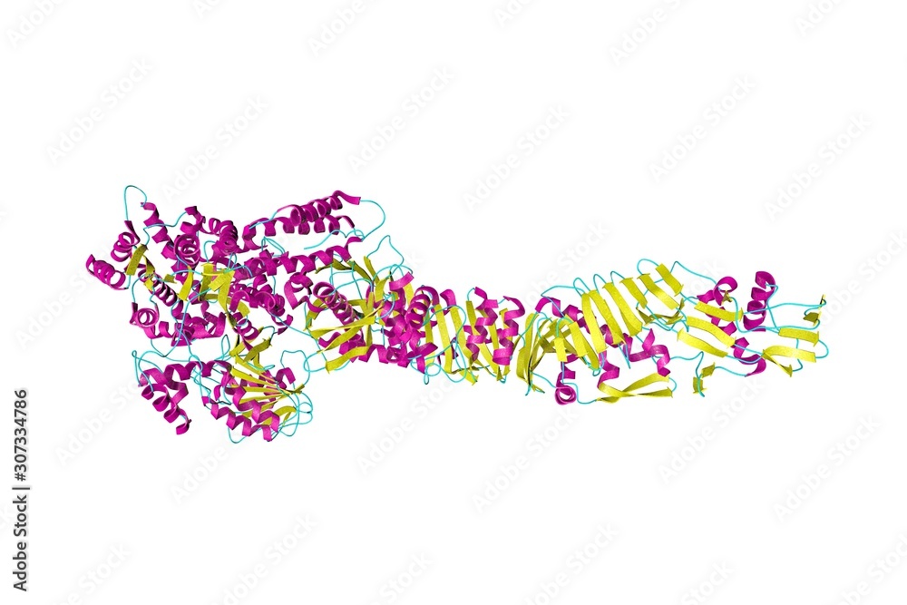 Crystal structure of clostridium difficile toxin A isolated on white background. Medical background. Scientific background. 3d illustration