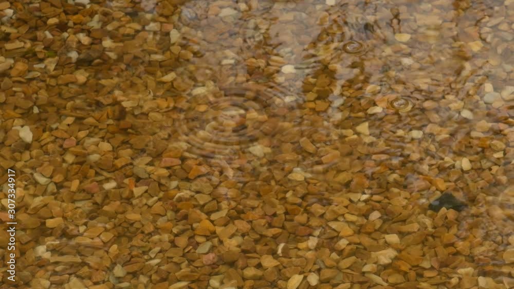 Rain drops fall into a puddle with rocks in nature. Rain drops fall into a puddle with rocks in nature.