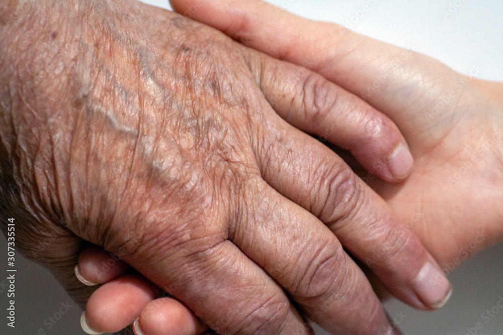 Old and Young Women Holding Hands Old and Young Women Holding Hands