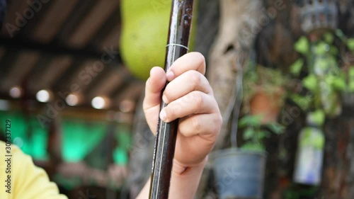 A musician's hand playing Salor, two or three-string spike fiddle used in the Lanna region or in the North of Thailand photo