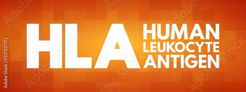 HLA - Human Leukocyte Antigen acronym, medical concept background