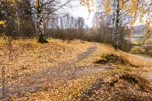 A path among a carpet of yellow-orange leaves on an autumn day.