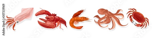Vector set with cooked marine animals, products squid, lobster, shrimp, octopus, crab. Boiled or steamed seafood. Dainty, delicacy for gourmet. Collection isolated on white background.