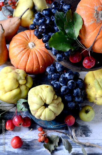 Still life, autumn fruits and vegetables