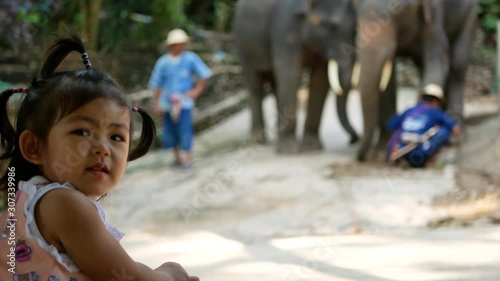 Little baby girl, 26 months old, enjoys watching / looking at elephants and their mahouts