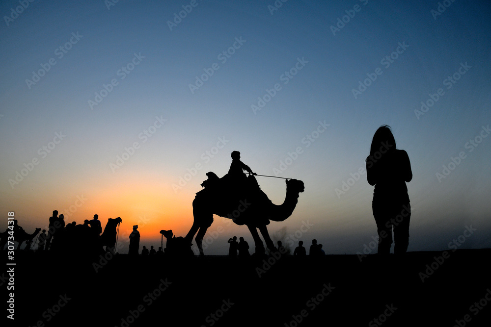 Camel Rides in silhouette, SAM dunes, Jaisalmer, Rajasthan, India