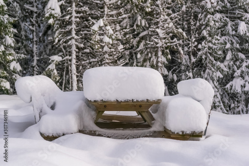 Wooden table and benches covered in snow. In background pine trees with snow on branches. Heavy snow fall in winter. Tromso, Norway.