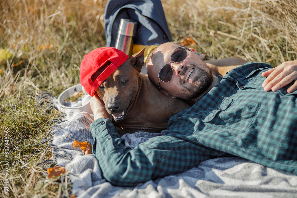 Big dog can be comfortable pillow stock photo Big dog can be comfortable pillow stock photo